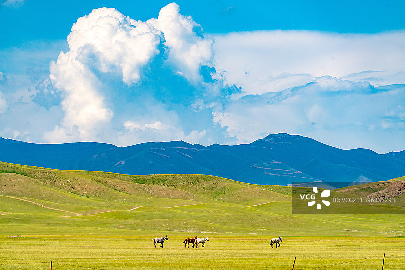 新疆巴音郭楞和静独库公路巴音布鲁克大草原图片素材