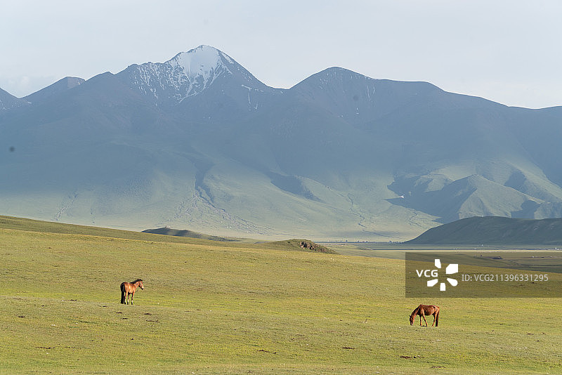 新疆巴音郭楞和静独库公路巴音布鲁克大草原图片素材
