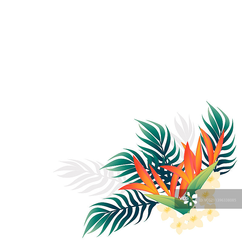 装饰性花卉天堂鸟图案图片素材