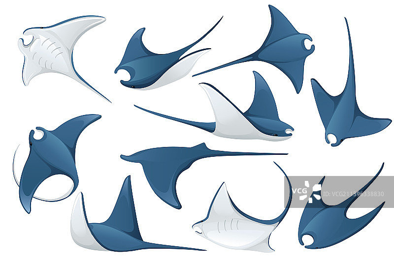 水下蝠鲼巨型动物套装图片素材