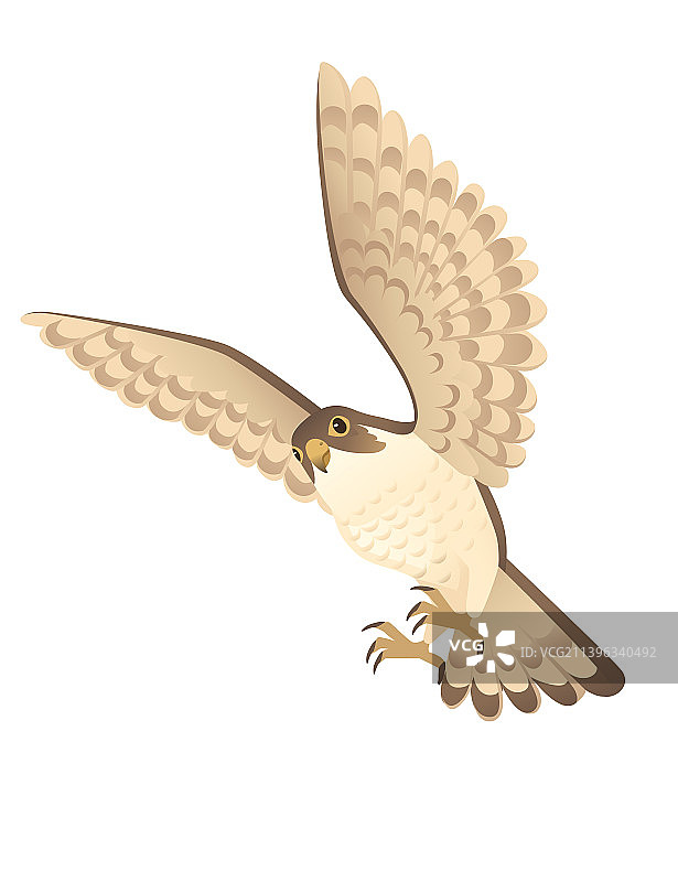 卡通成年猎鸟隼图片素材