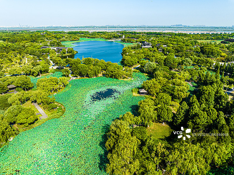 江苏苏州阳澄湖莲池湖公园航拍图片素材