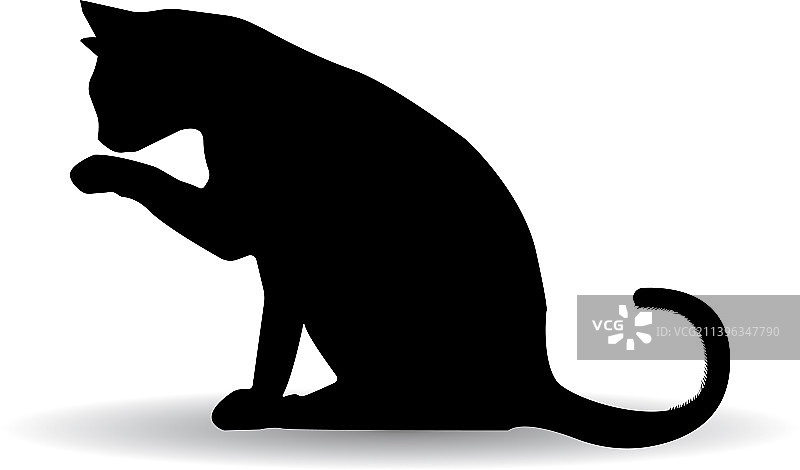 猫的图标图片素材