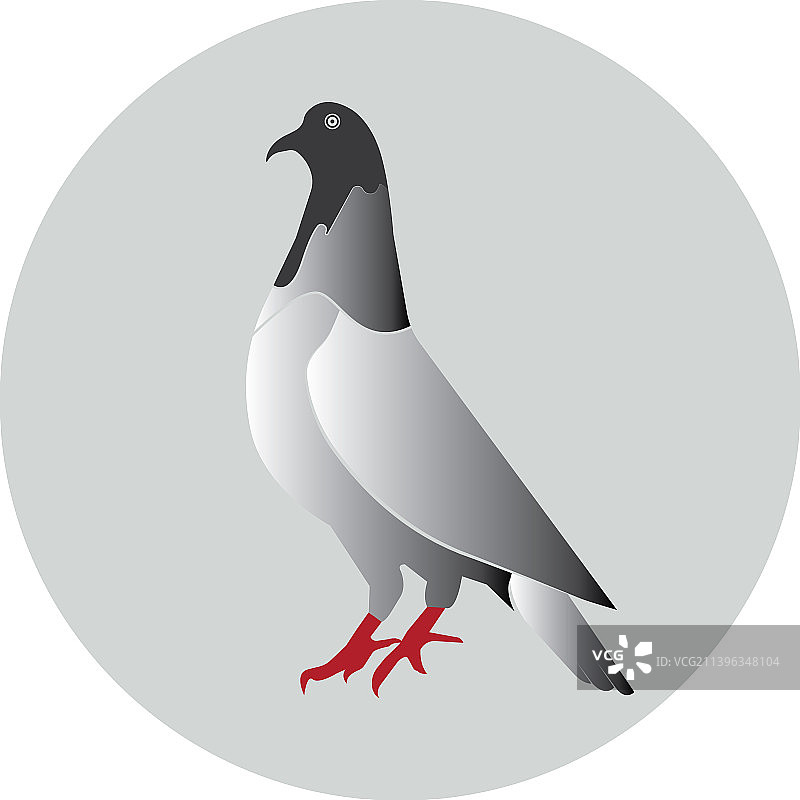 鸽子图标图片素材