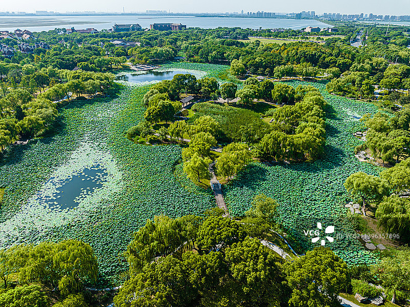 江苏苏州阳澄湖莲池湖公园图片素材
