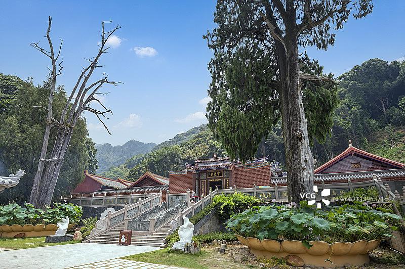 灵光寺和生死树图片素材