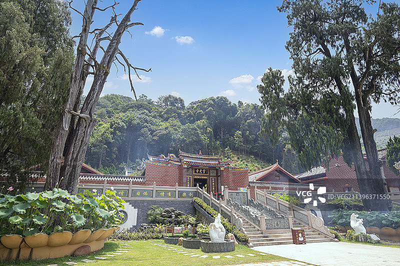 灵光寺和生死树图片素材