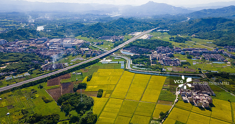水稻田地农业图片素材