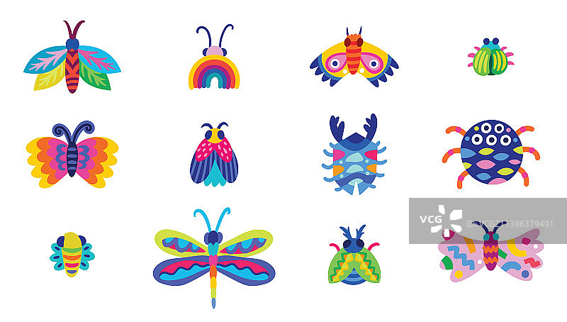 甲虫、蜘蛛和飞蛾图案合集图片素材
