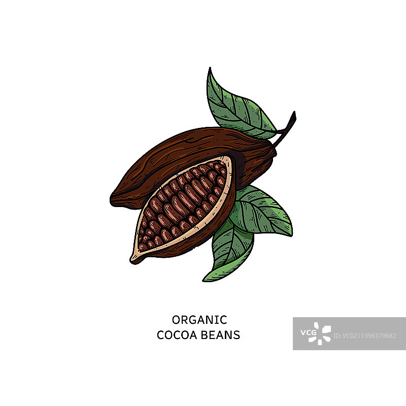 手绘可可涂鸦图片素材