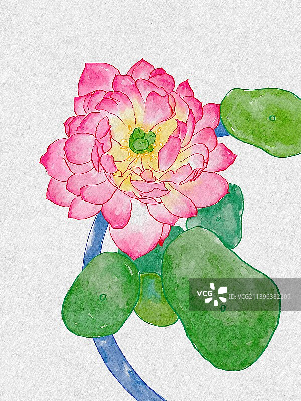 水彩荷花图片素材