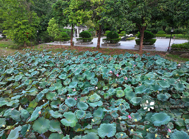 广东省惠州市惠阳区秋长周田村叶挺将军纪念园故居航拍图片素材