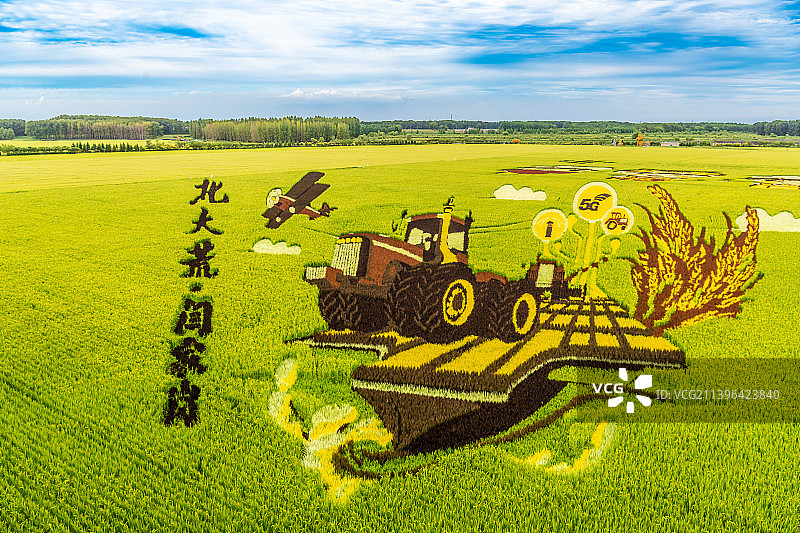 稻田画图片素材