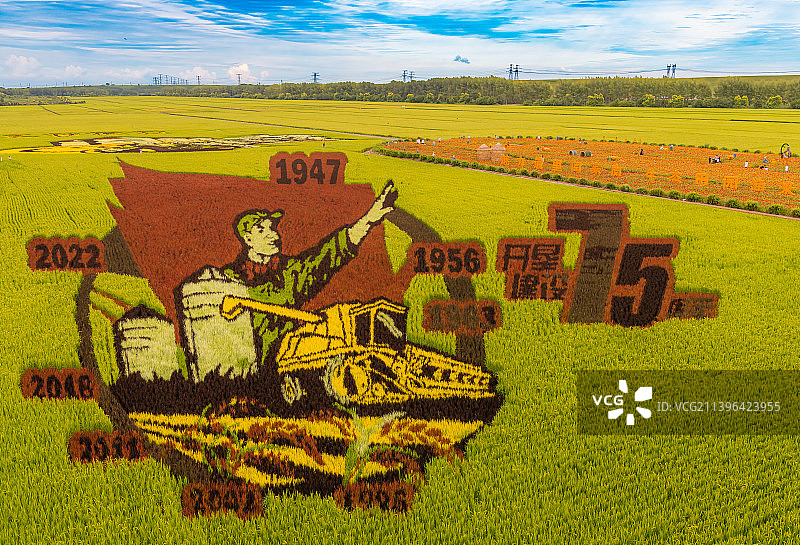 稻田画图片素材