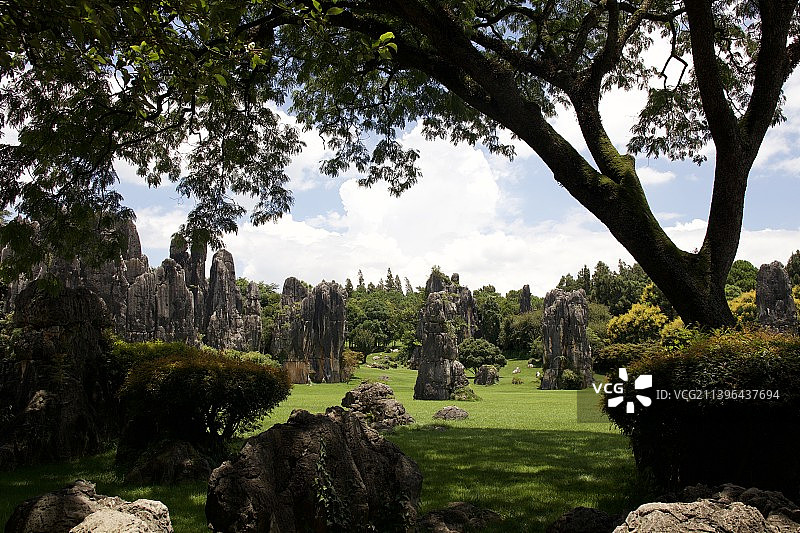 云南石林图片素材