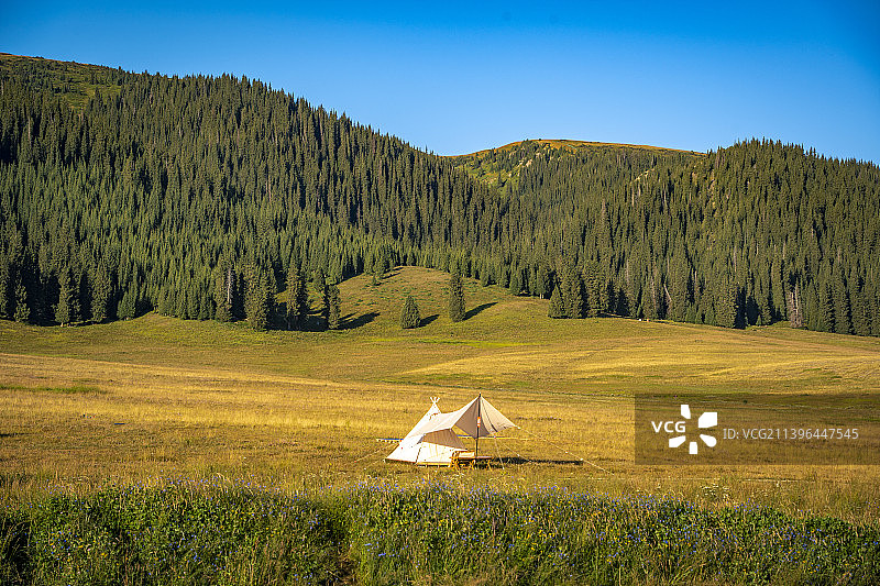 新疆赛里木湖露营地图片素材