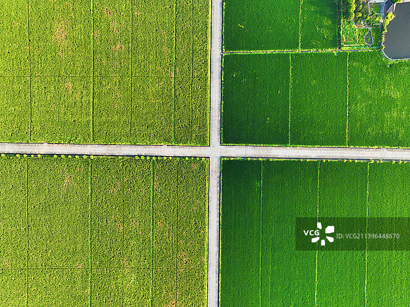 美丽浙江 美丽田园图片素材