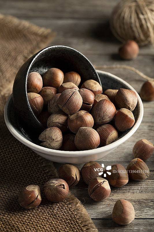 闽北锥栗图片素材