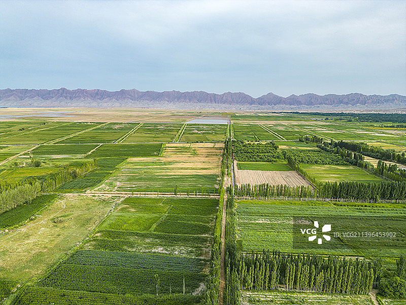 中国新疆拜城县戈壁沙漠和绿洲农田图片素材