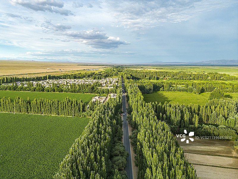 中国新疆拜城县戈壁沙漠和绿洲农田图片素材