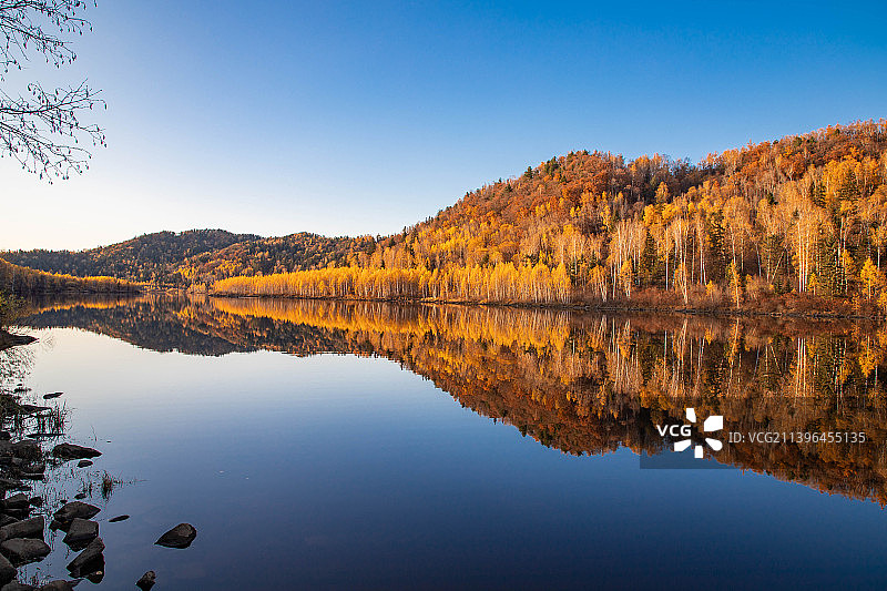 黑龙江-伊春-汤旺河森林公园-秋色图片素材