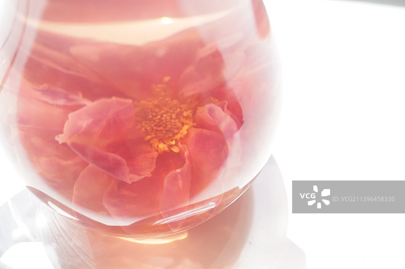 玫瑰，墨红，干玫瑰，干花，泡玫瑰花，大玫瑰，玫瑰花，泡玫瑰，花茶，花果茶，玫瑰花茶，花青素，泡水，玻图片素材