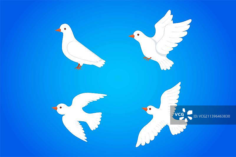 白色鸽子鸟类插画元素图片素材