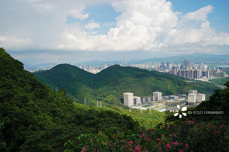 深圳塘朗山公园图片素材