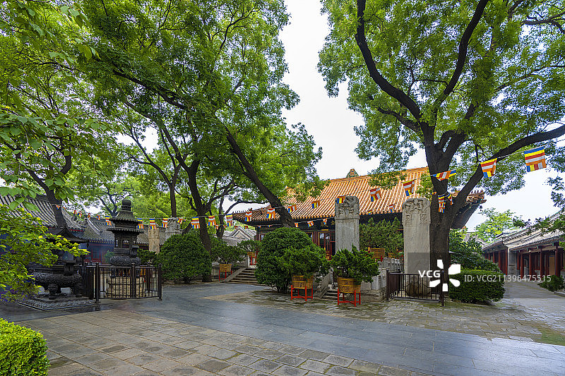 广济寺 法源寺 白塔图片素材
