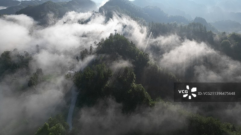 晨雾中的山林图片素材