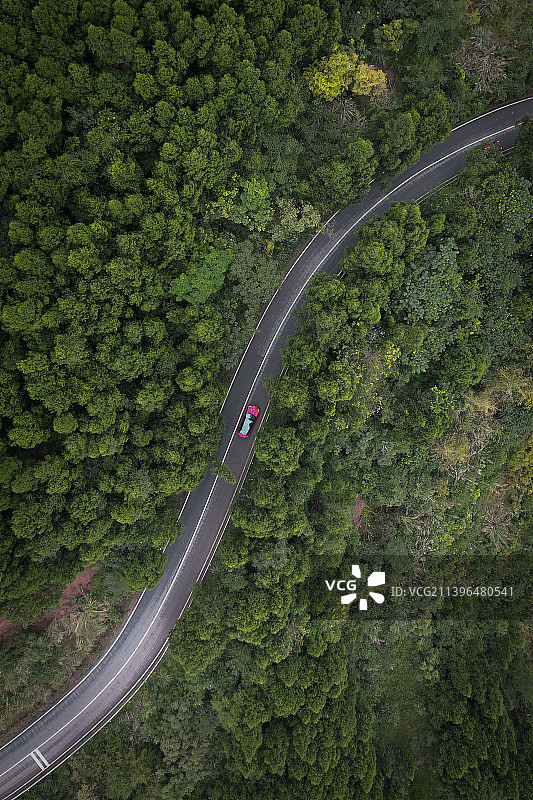 林间林间公路的高角度视野图片素材