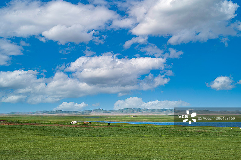 内蒙草原牧场图片素材