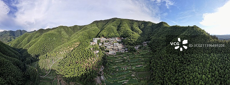 光影分割下的木坑竹海图片素材