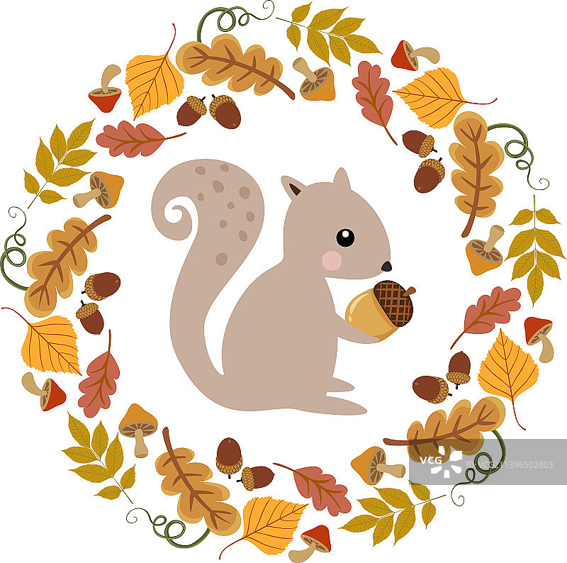 秋季圆形框架中拿着橡果的可爱松鼠图片素材