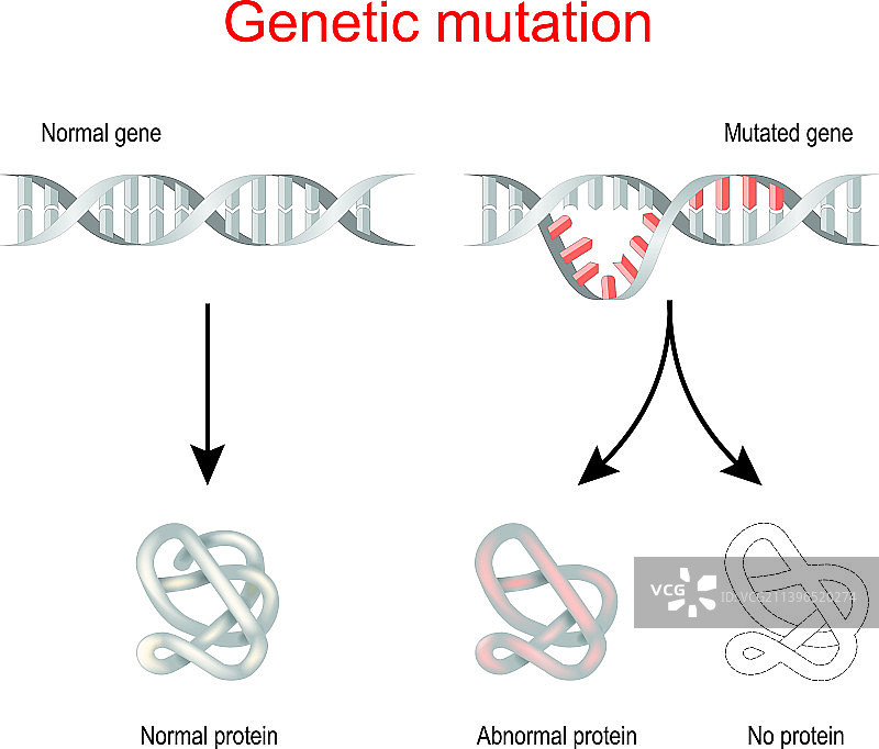基因突变正常基因和突变DNA图片素材