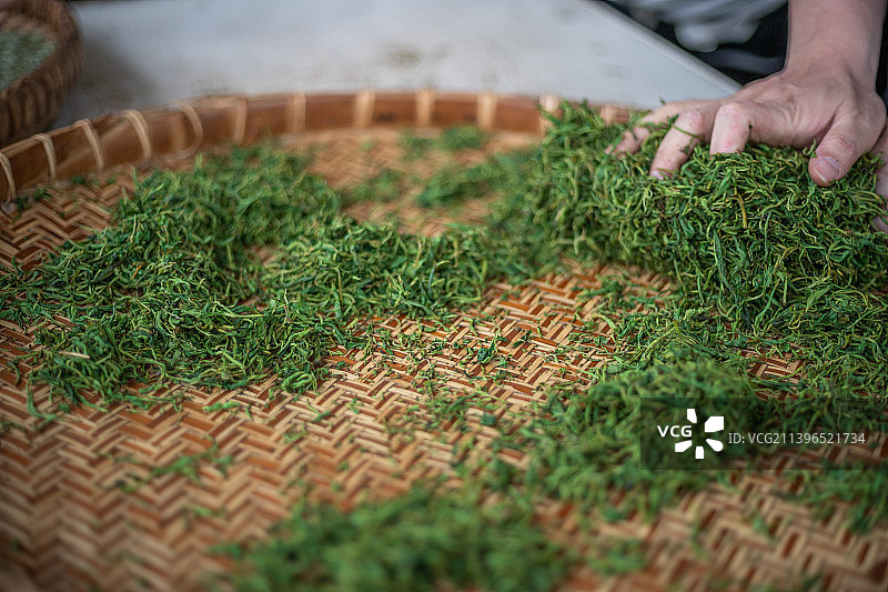 采茶制茶图片素材