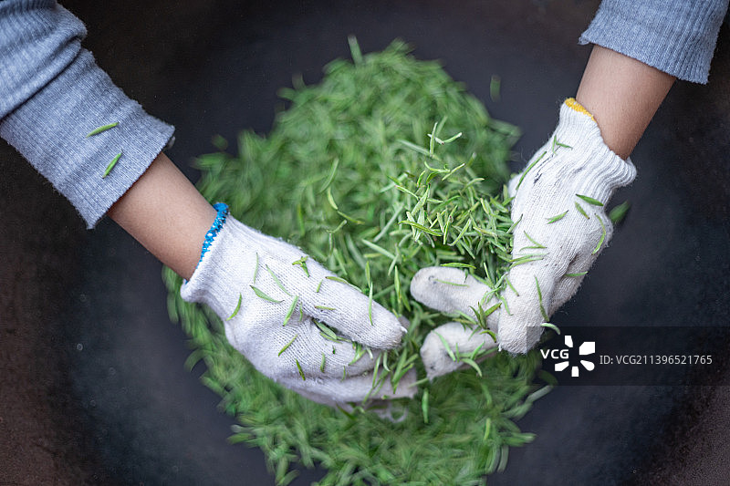 采茶制茶图片素材