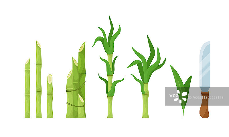 甘蔗制糖生产和设备素材图片素材