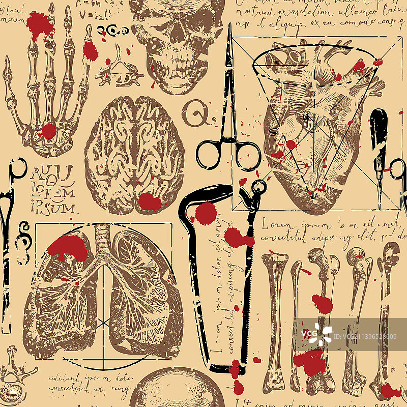 人体器官无缝图案图片素材