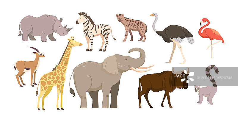 非洲动物和鸟类图片素材