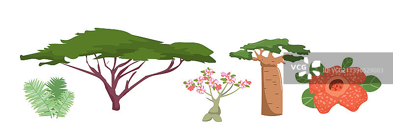 非洲植物元素合集图片素材