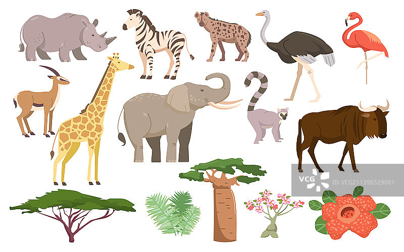 非洲动植物图片素材