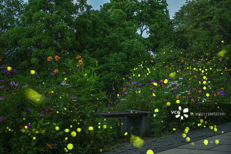 公园里的木凳与萤火虫图片素材
