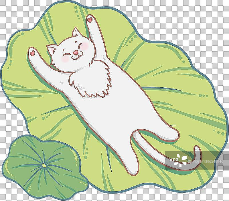 躺在荷叶上睡觉的猫图片素材