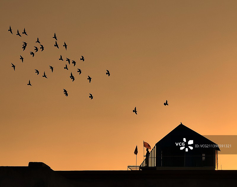 相约日落图片素材