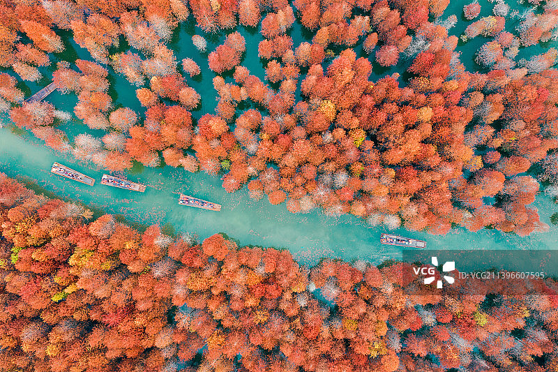 方塘红衫林图片素材