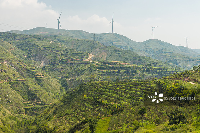 夏天陕西富平县的黄土塬图片素材