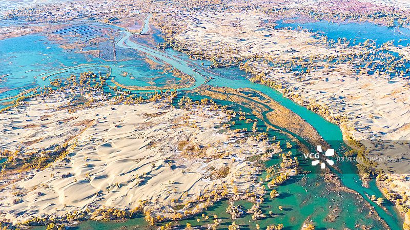 塔里木河的秋图片素材