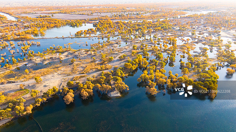 塔里木河的秋图片素材
