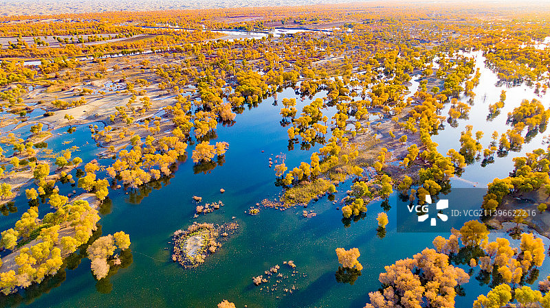 塔里木河的秋图片素材